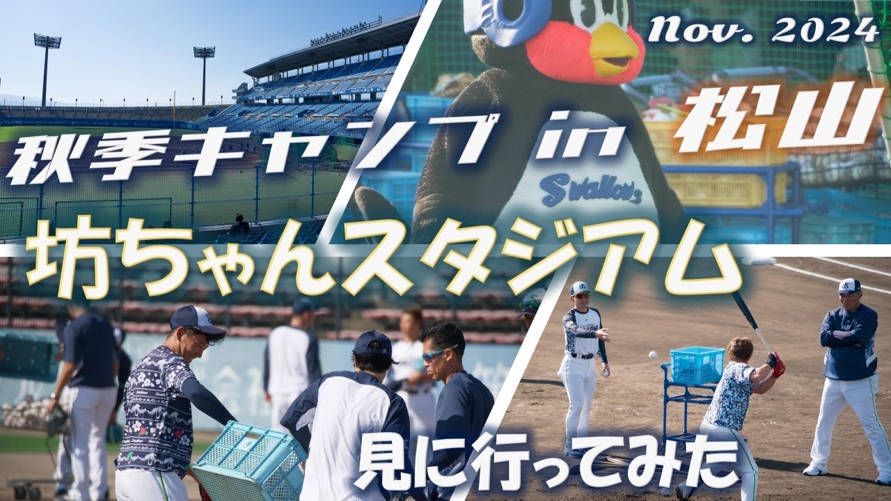 🏟️ 마츠야마 주오 공원 이미지 10